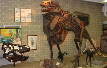 Earth Sciences Museum