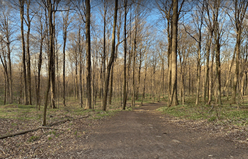 The Waterloo Geotime Trail